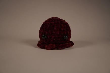 Baby Octopus - Maroon Photo